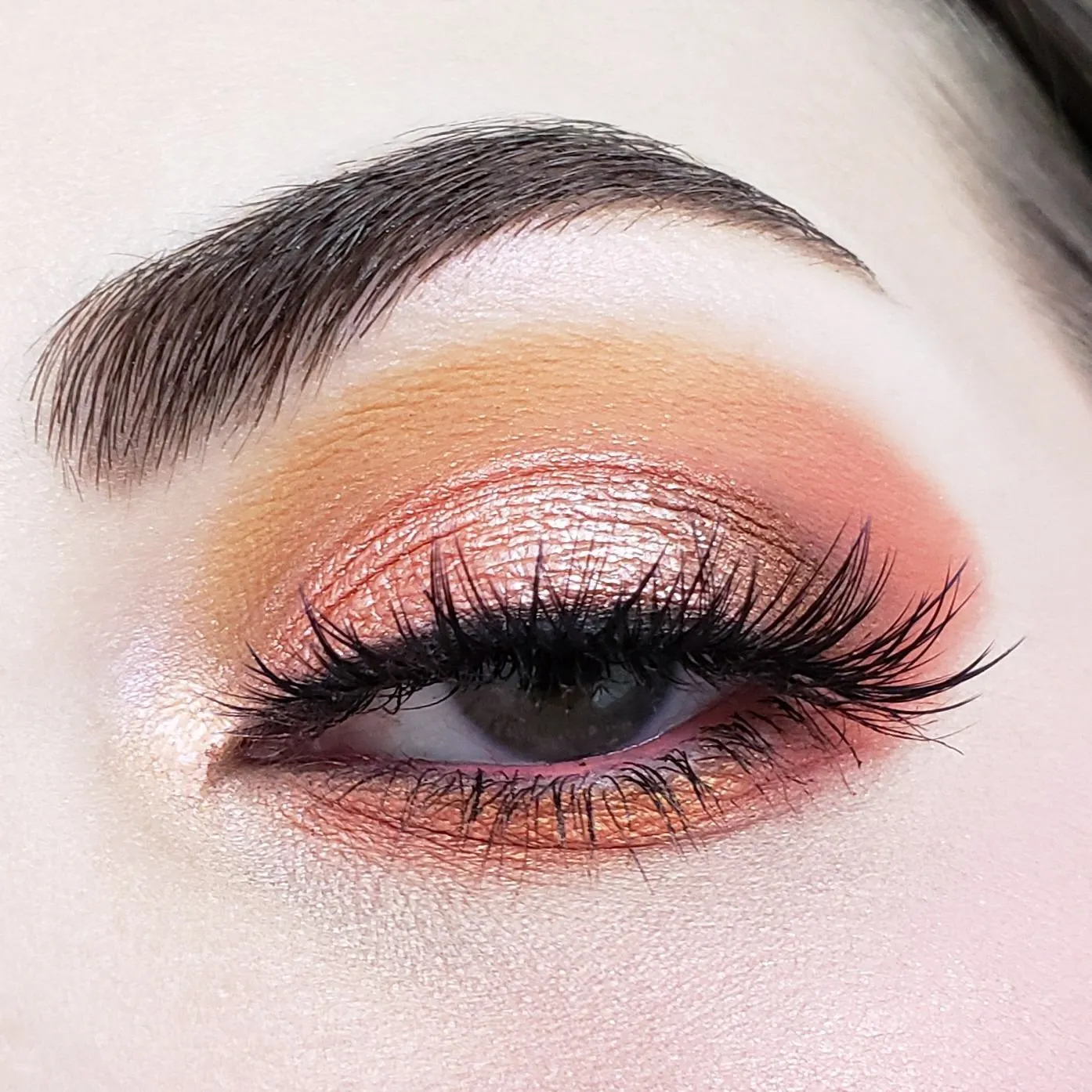 35 Color Rose Gold Eyeshadow Collection 35RG