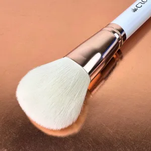 5 PACK CWG01- POWDER BRUSH