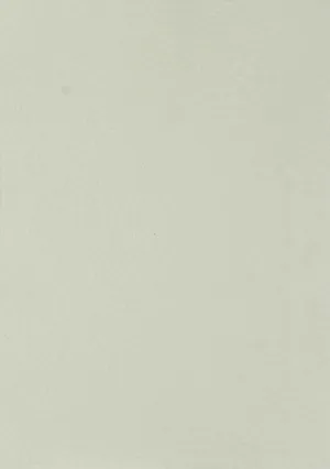 A4 - Textured Paper - Crushed Silk Matt - Ivory
