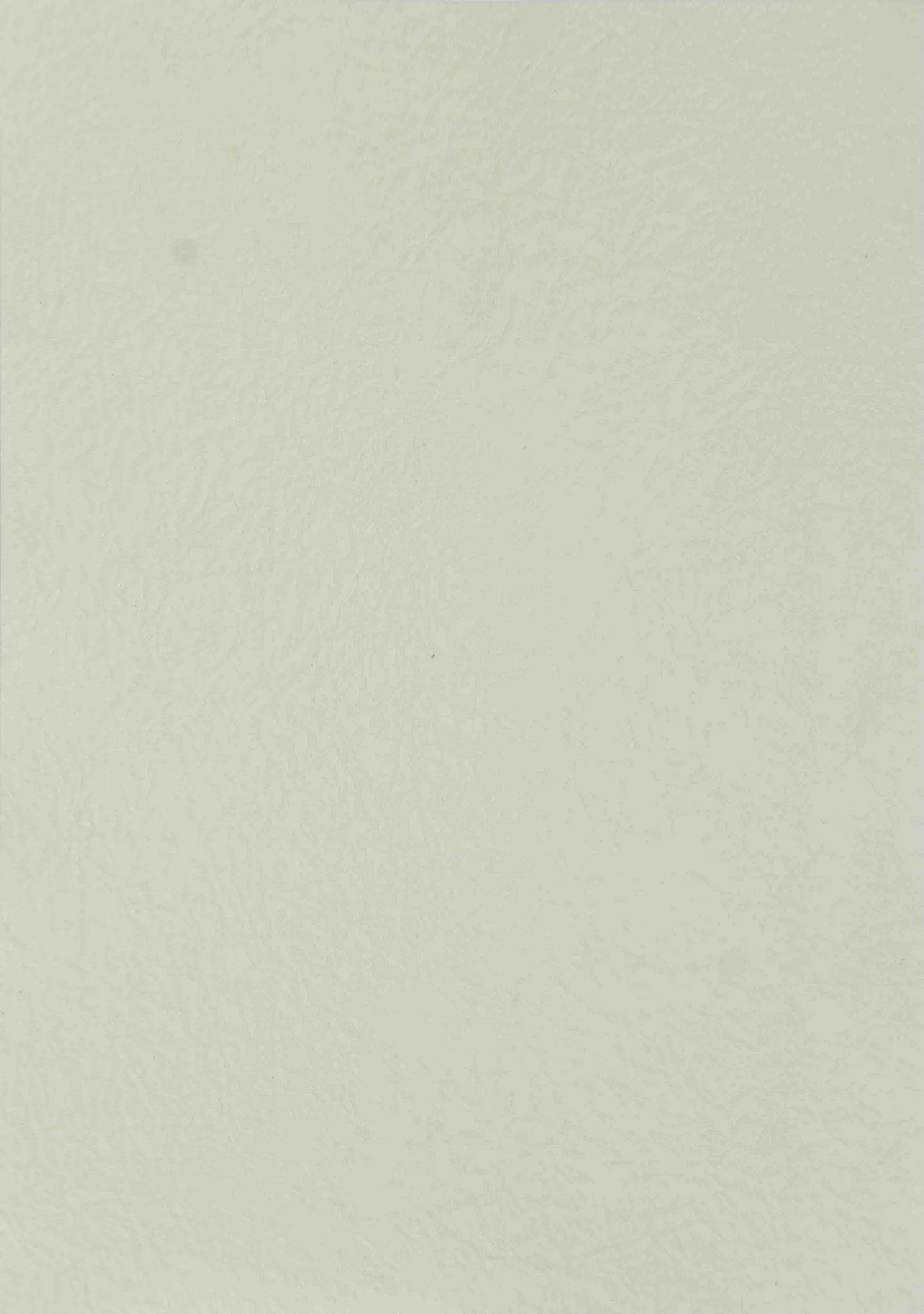 A4 - Textured Paper - Crushed Silk Matt - Ivory