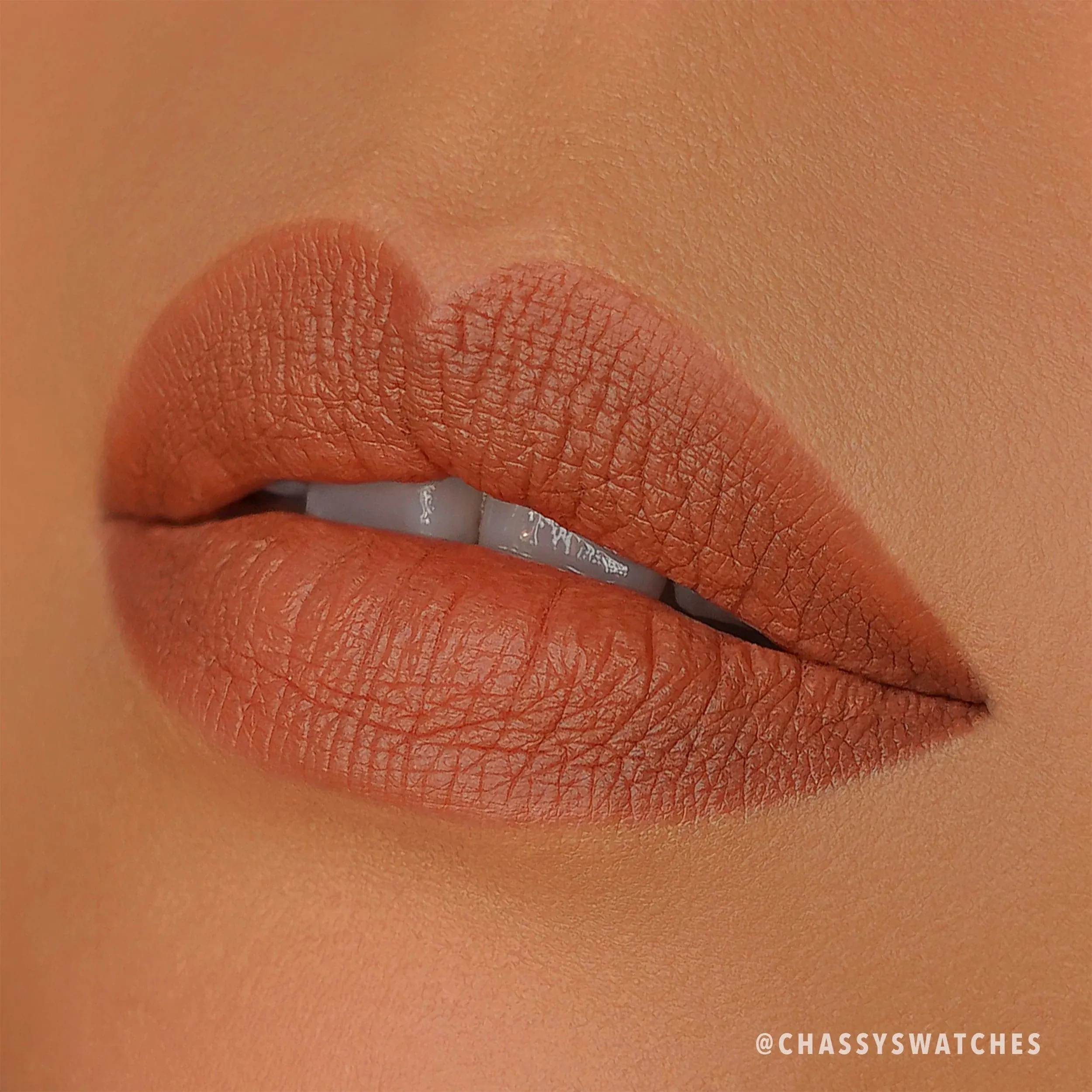BLBM - Lip Bloom Lipstick Pencil Module Set