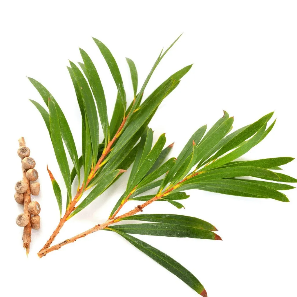 Botanical Blemish Stick