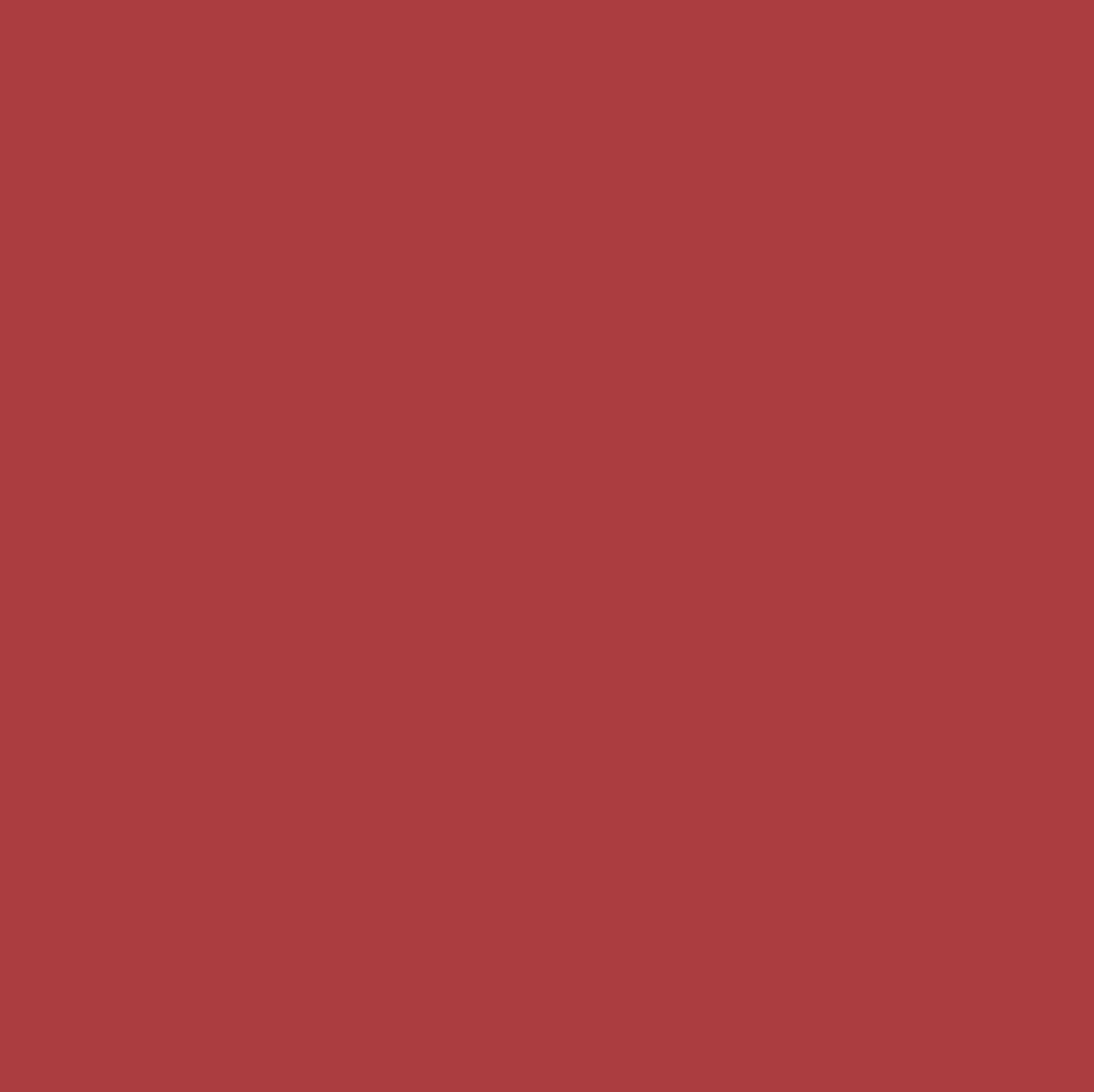Change Agent Matte Lipstick M 452 WISHING CORAL