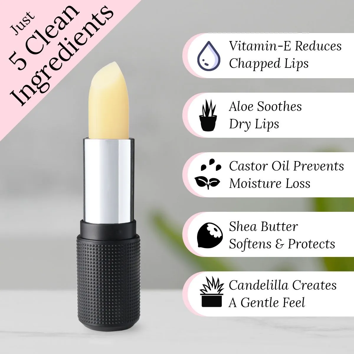 Classic Lip Kit