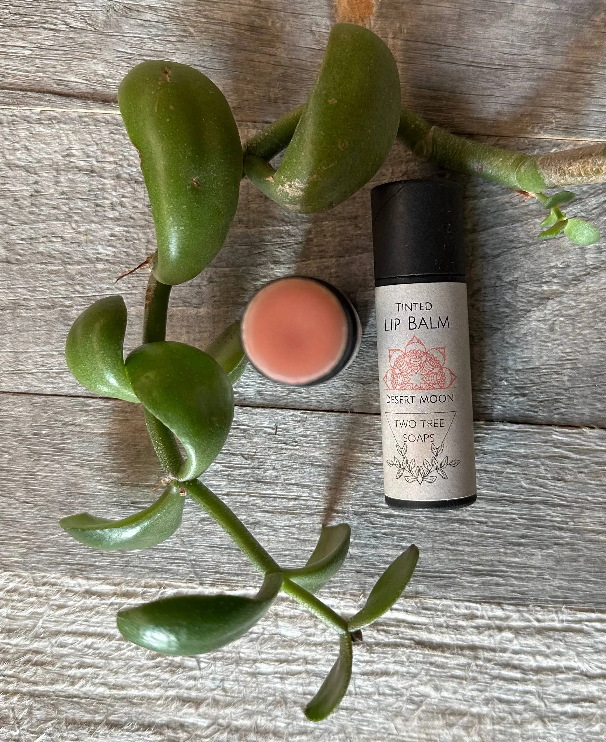 Desert Moon Tinted Lip Balm
