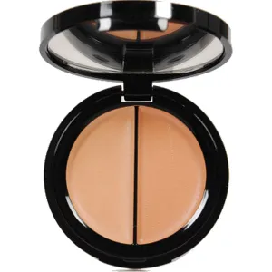 Dual Salmon Concealer Treatment