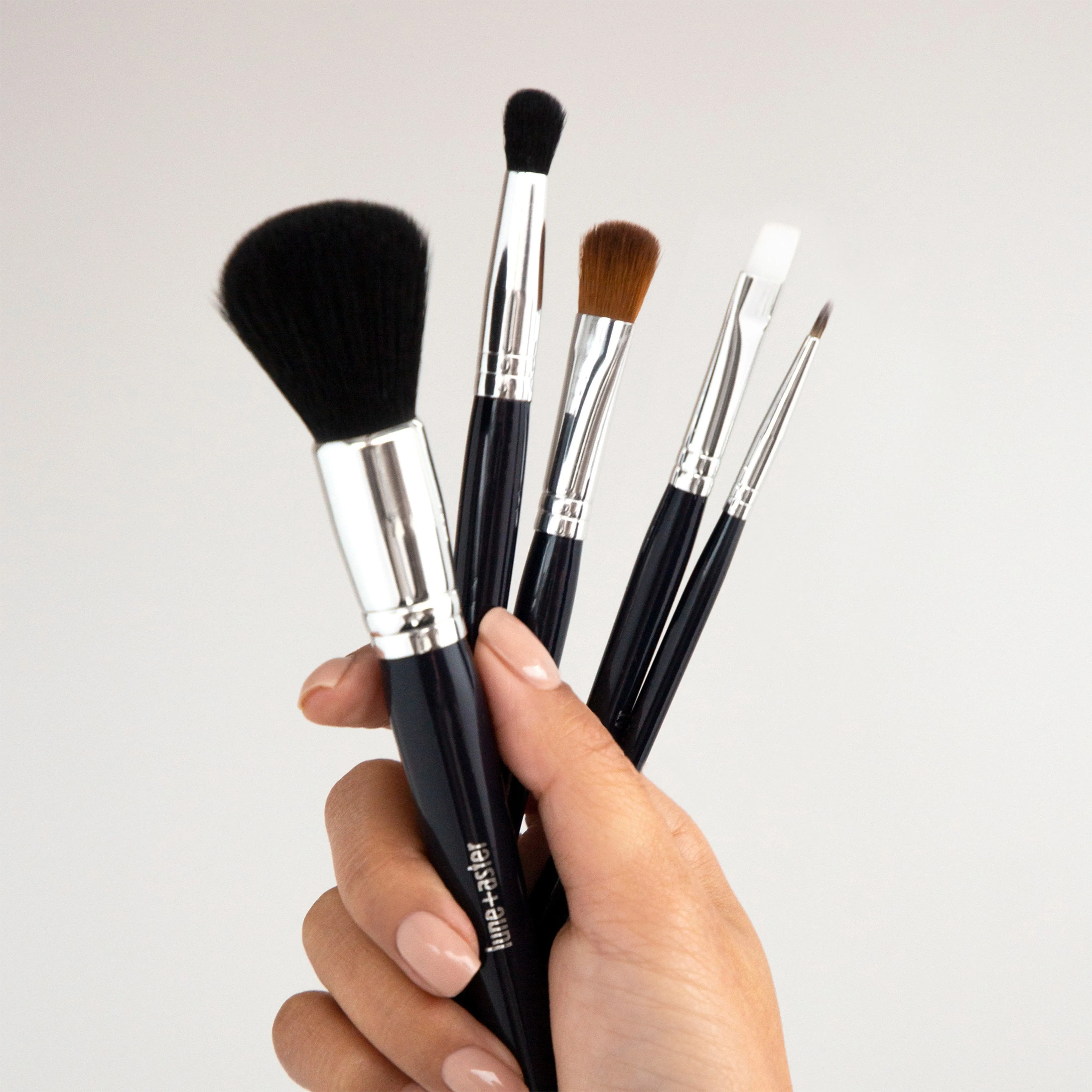 Fabulous in Five! Brush Set
