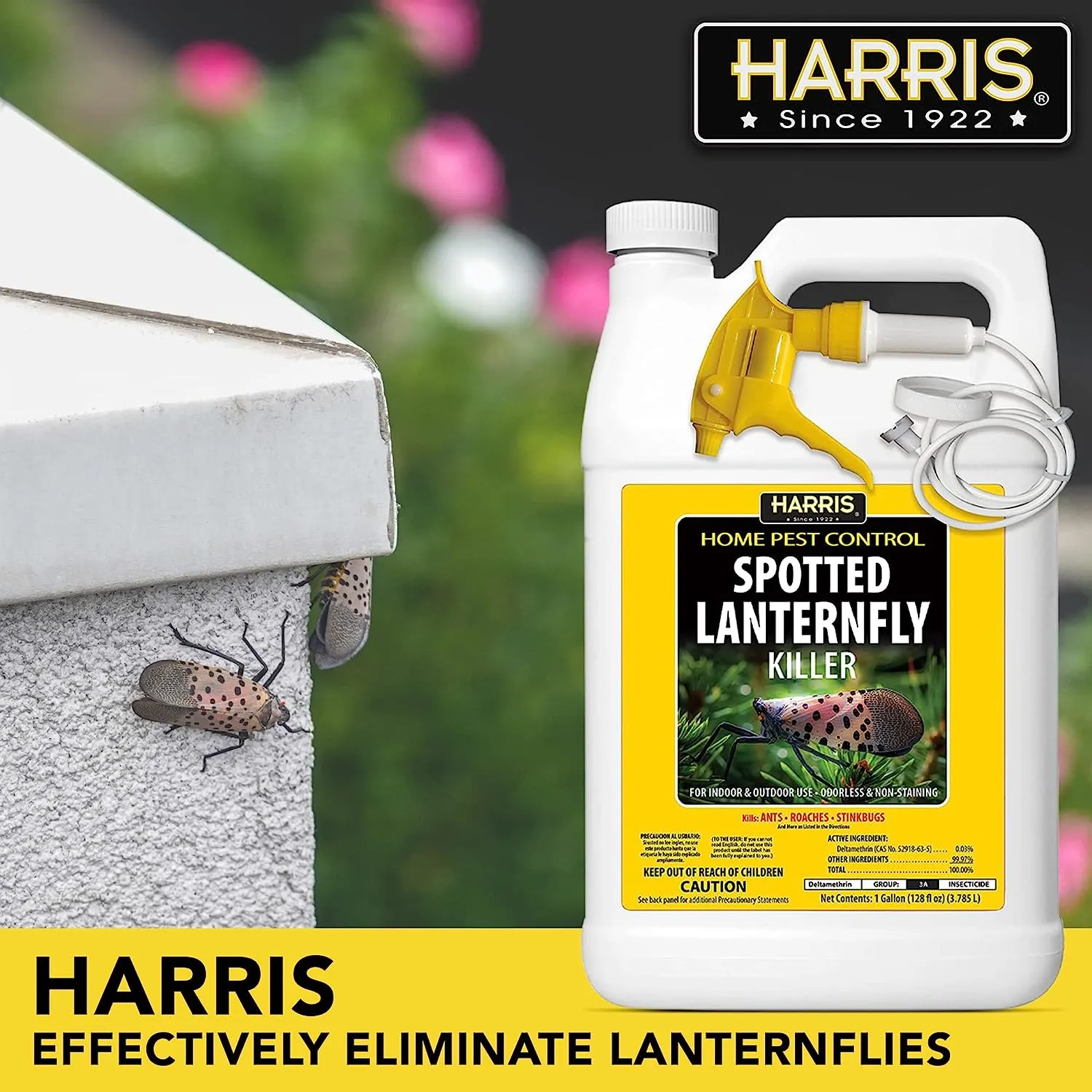 Harris Spotted Lanternfly Killer (128 fl.oz)