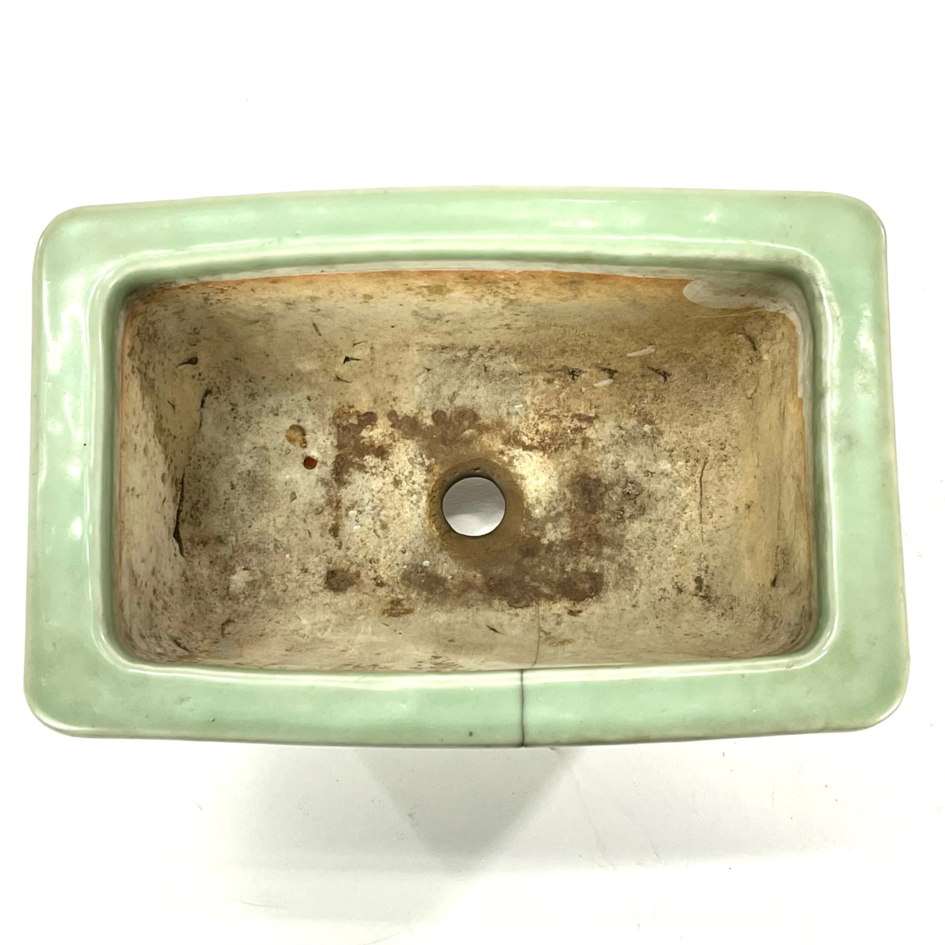 Japanese Bonsai Earthen Wear Celadon Green Bonsai Pot Medium Sized Trees 12.5"