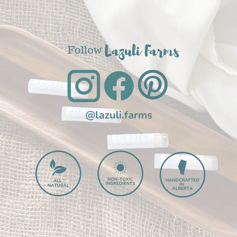 Lime and Bergamot Lip Balm  | Shea Butter   Tallow   Beeswax | Natural Lip Moisturizer