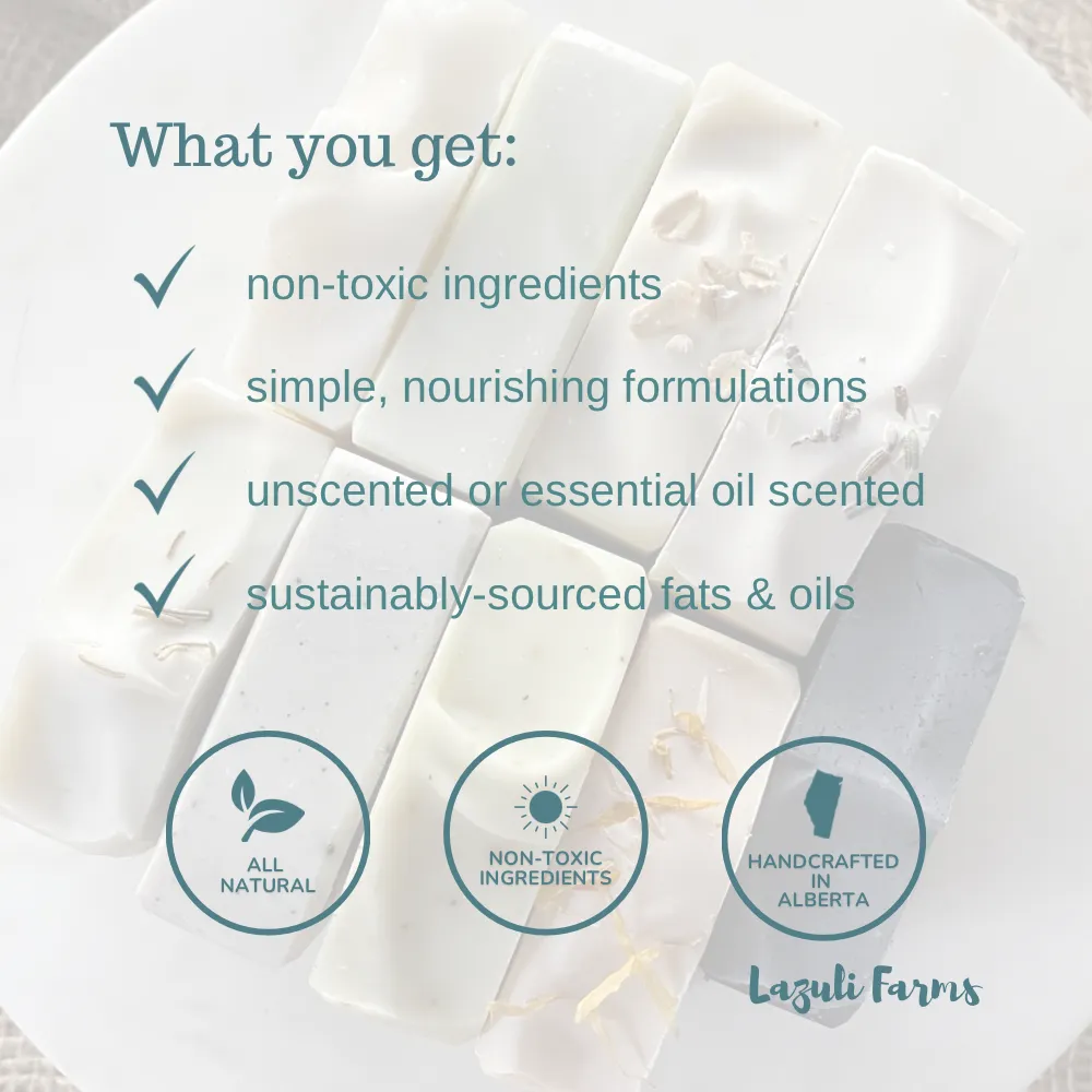 Lime and Bergamot Lip Balm  | Shea Butter   Tallow   Beeswax | Natural Lip Moisturizer
