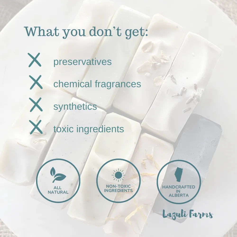 Lime and Bergamot Lip Balm  | Shea Butter   Tallow   Beeswax | Natural Lip Moisturizer