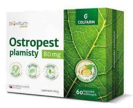 Liquid Milk thistle Biovitum 80mg x 60 capsules