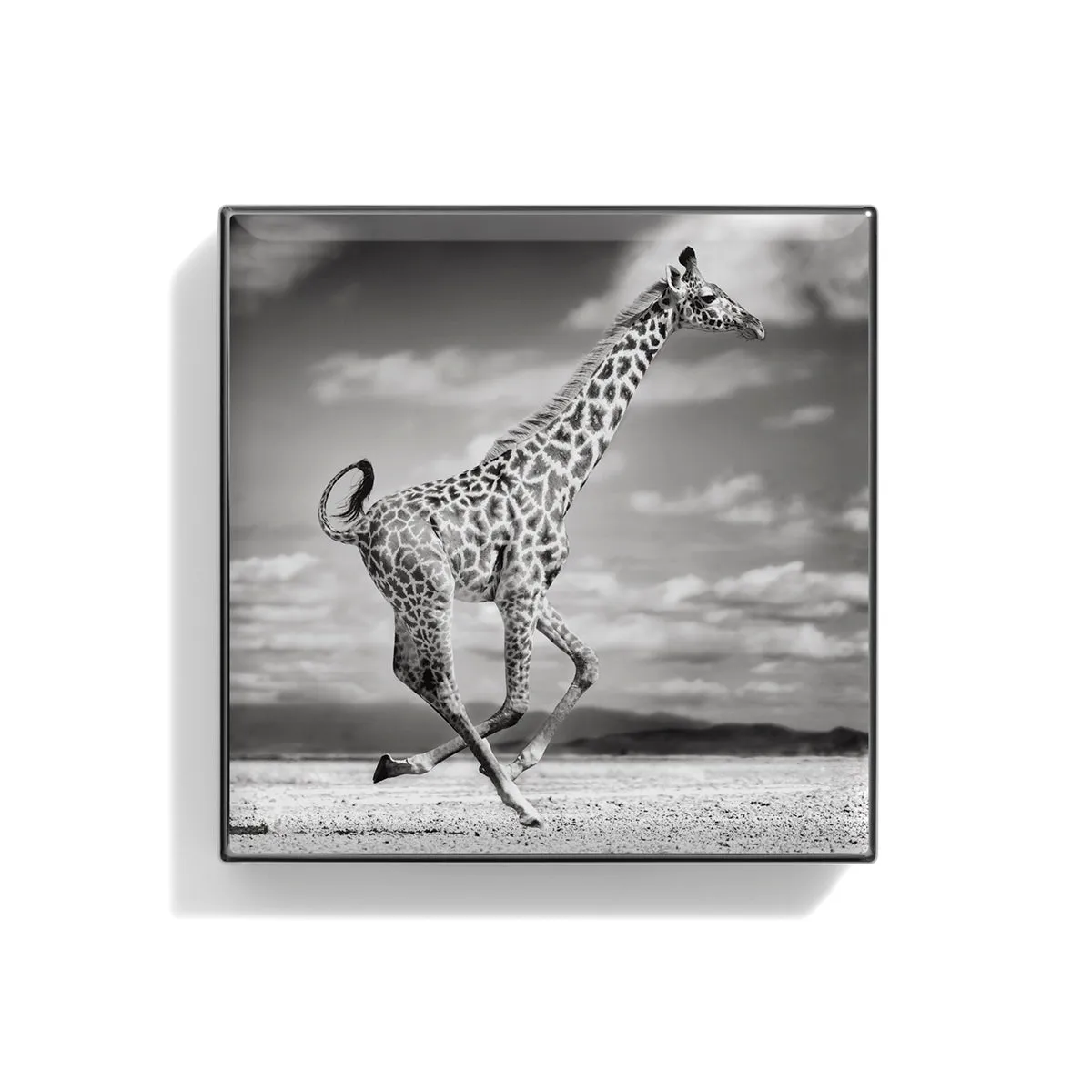 Luminescent Eye Shade Giraffe 2g