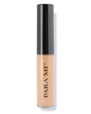 Pro Focus Liquid Concealer