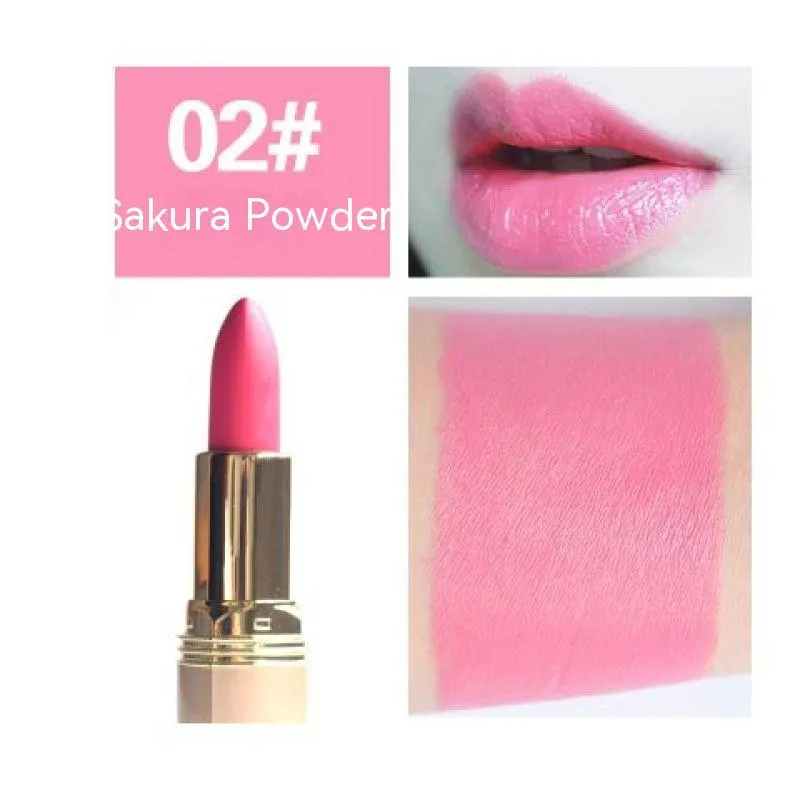 Rich Colors Moisturizing Long Lasting Lipstick