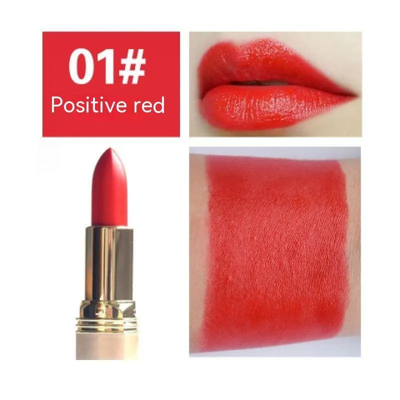 Rich Colors Moisturizing Long Lasting Lipstick