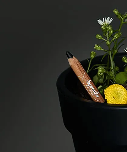 Sprout Waterproof Eyeliner | Smooth & Soft | Vegan Formula | Plantable Eyeliner Pencil with Wildflower Seeds | Eco-Friendly Sustainable Makeup Gift | Black