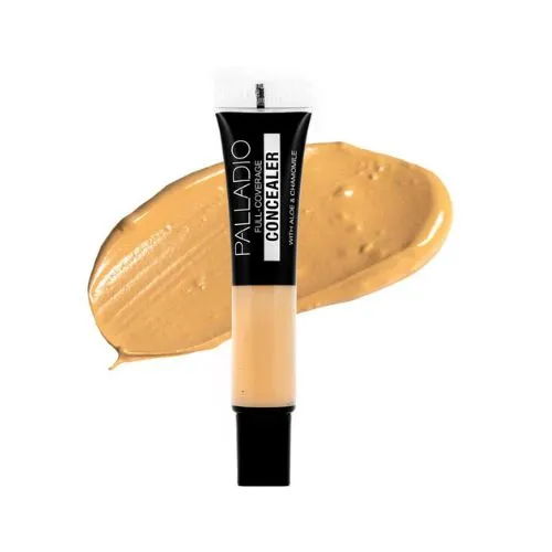 Under Eyes Disguise Full Coverage Concealer