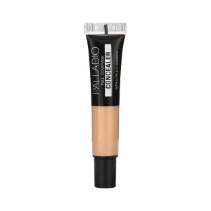 Under Eyes Disguise Full Coverage Concealer
