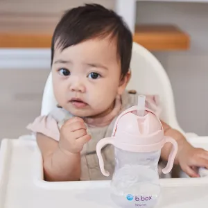 Weighted Straw Sippy Cup 240ml  Blush Light Pink