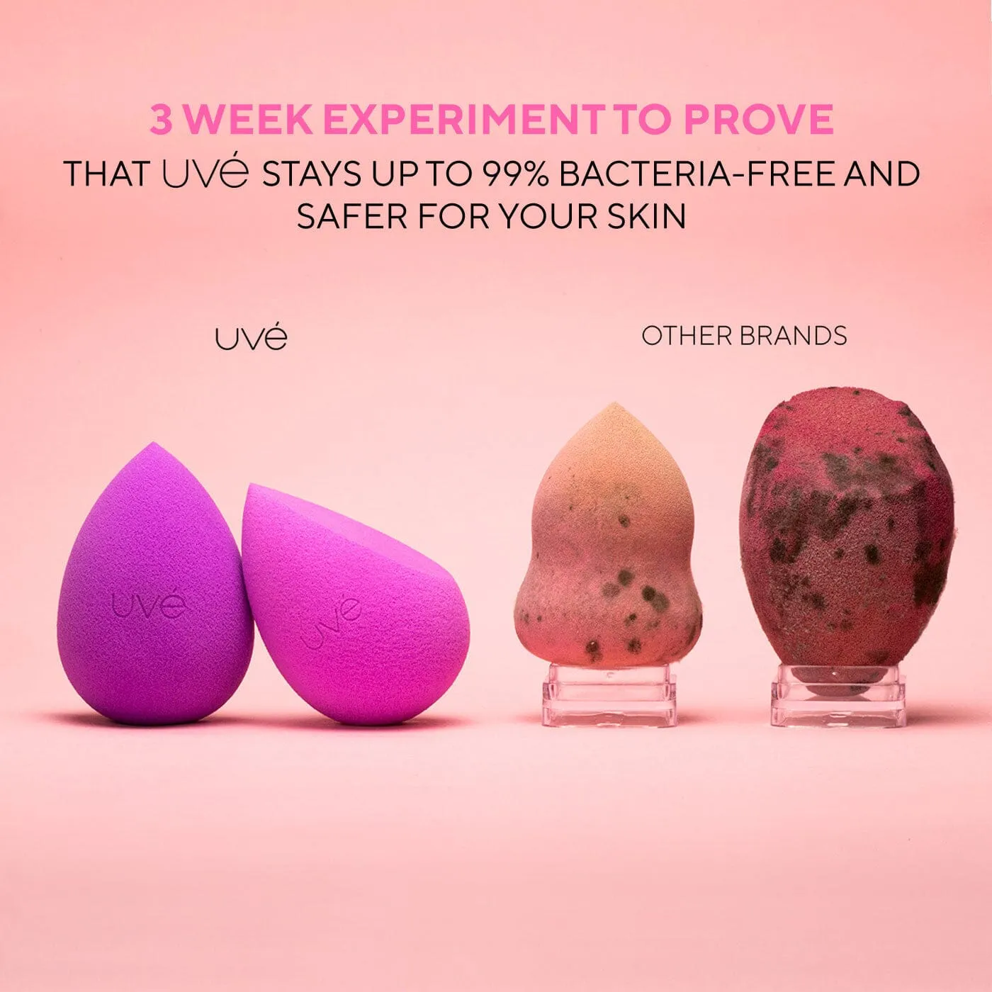XOXO Pink Special Release Makeup Sponge 2 Pack